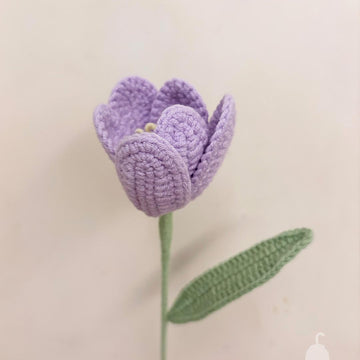 Tulip