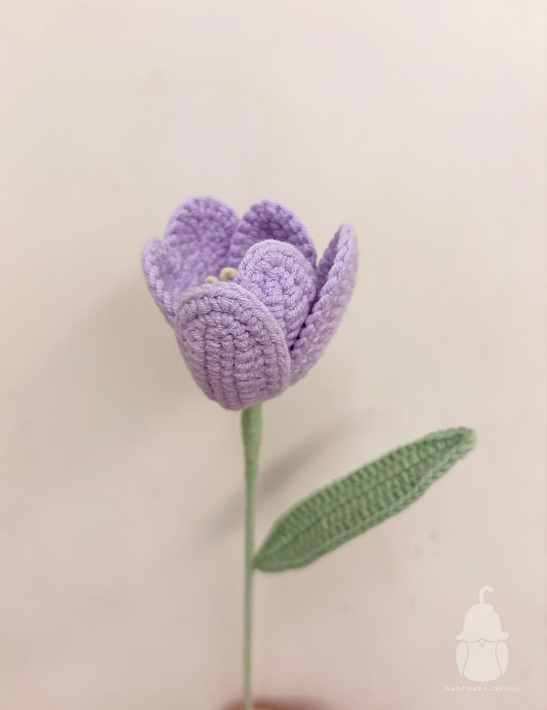 Tulip