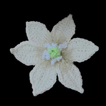 Collection of Clematis crochet