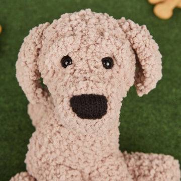 Larry the Labradoodle