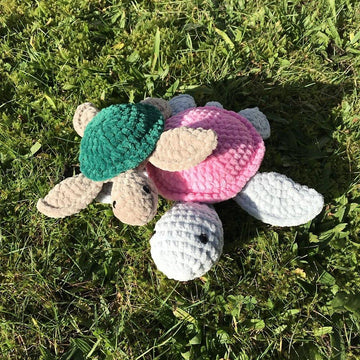 Turtles