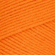 Pumpkin (0254)