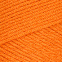 Pumpkin (0254)