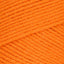 Pumpkin (0254)