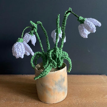 Nana's Snowdrop Flowers