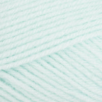 Mint (01066)