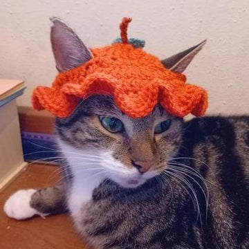Crochet halloween pumpkin hat for cats