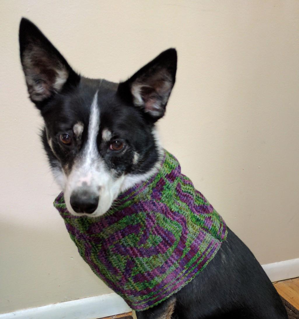 Celtic Knot Border Cowl