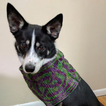 Celtic Knot Border Cowl