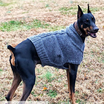 Maximus Dog Sweater