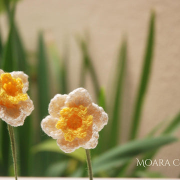Crochet Daffodil