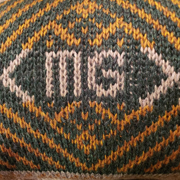 School Spirit pillow