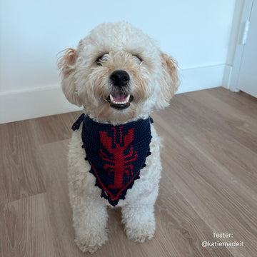 Boothbay Bandana