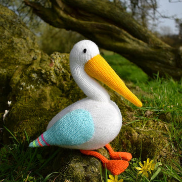 Peggy the Pelican