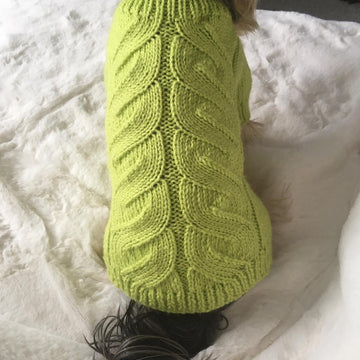 Lime Dog or Cat Sweater