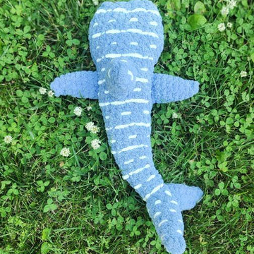 Large(r) Whale Shark