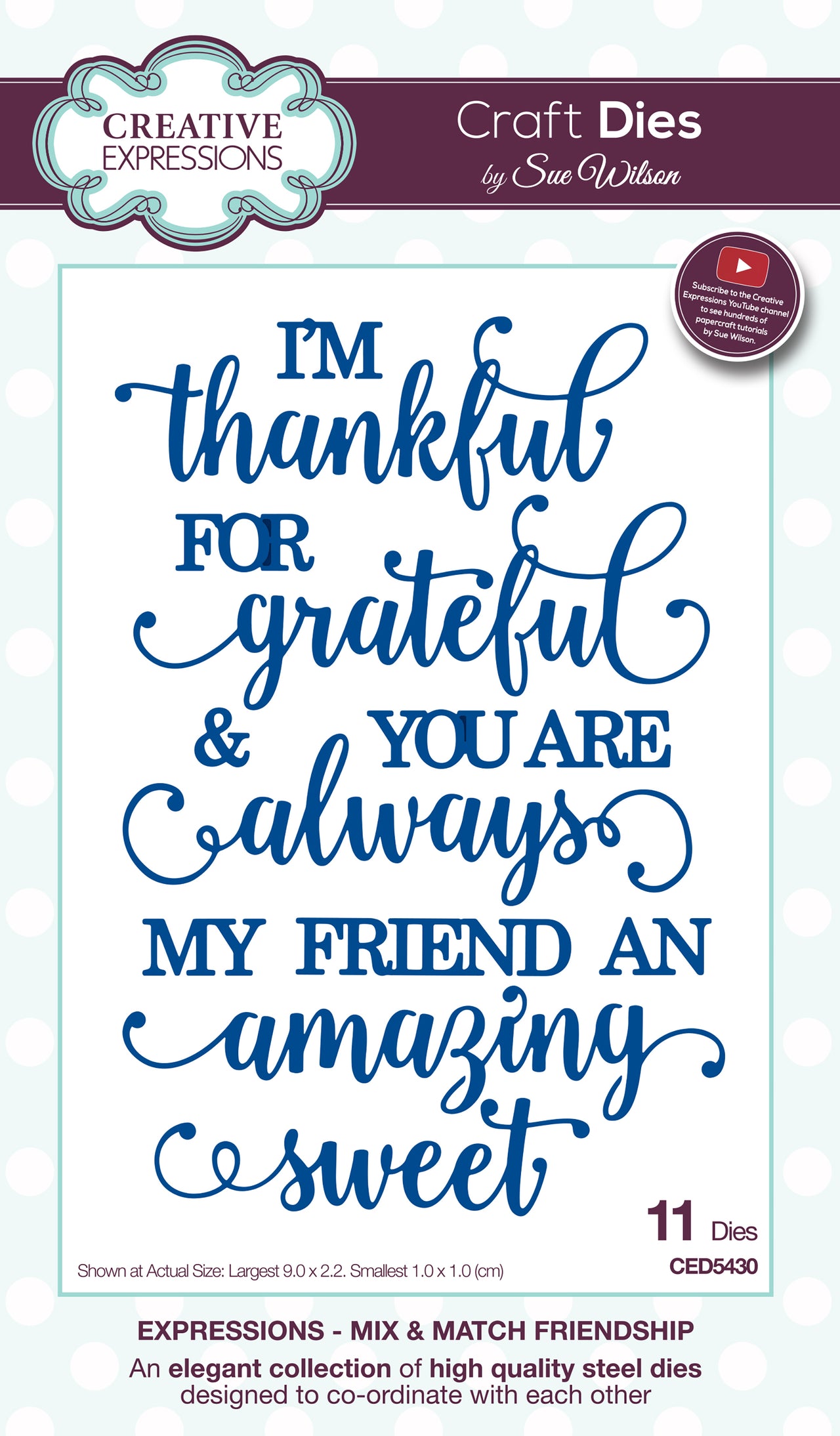 Creative Expressions Craft Dies By Sue Wilson - Expressions-Mix & Match Friendship