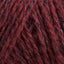 Paisley (171)