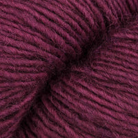 Beet (TE130)