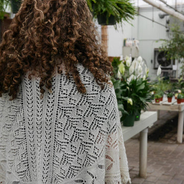 Lacewing