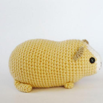 Chubby guinea pig