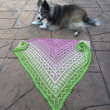 The Leela Shawl