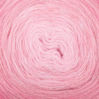 Fuchsia (002)