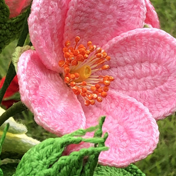 Rugosa Rose Crochet Pattern