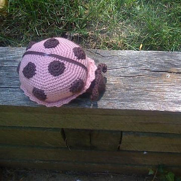 June the Lady Bug