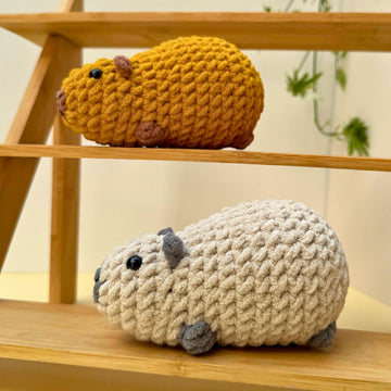 Chubby Capybara