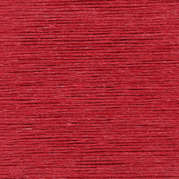 Raspberry (17)