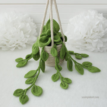 Knitted Pothos Hanging Plant