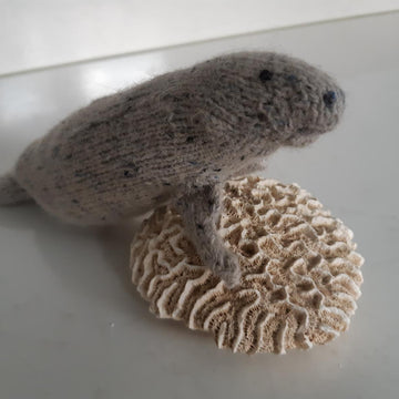 Manatee