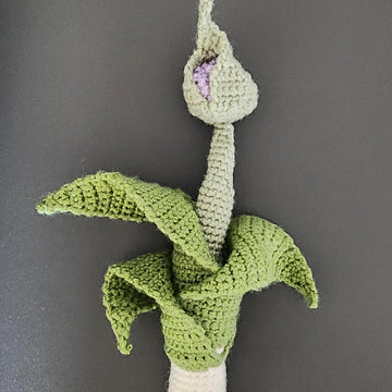 Leek with flower pod