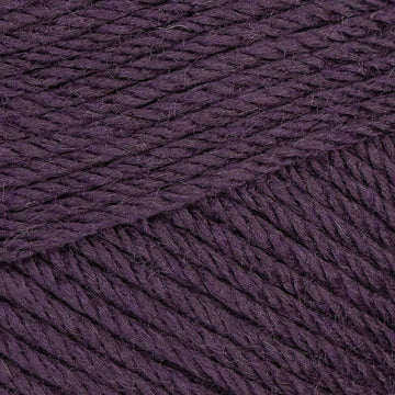 Eggplant (36)
