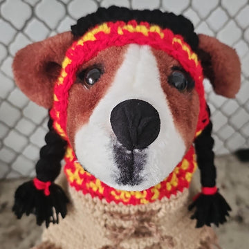 Indian Pet Bandana and Hat