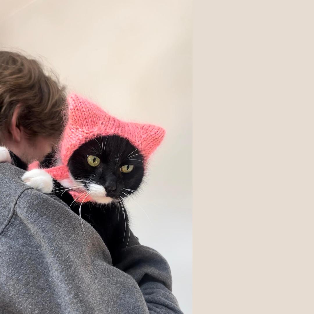 Cat hat for cat with kitty ears