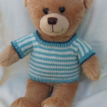 Teddy bear dungarees and top