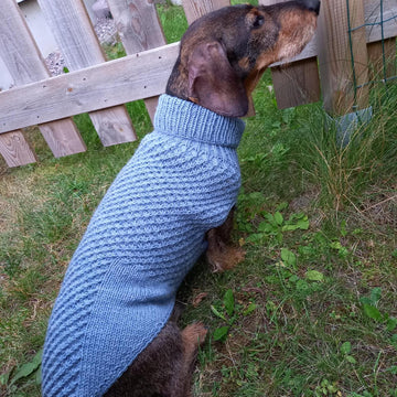 Tähti dog sweater