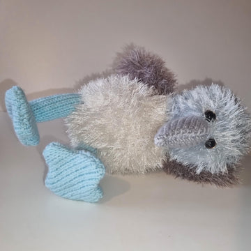 B is for Blue Footed Booby