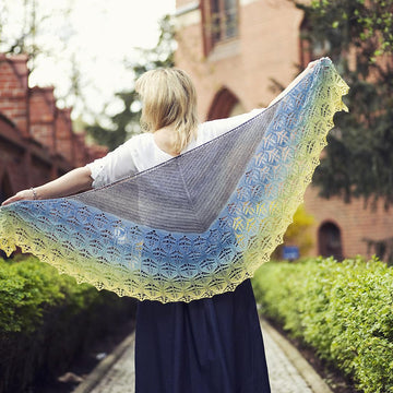 Brie Shawl