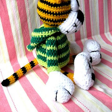 Tiger in hoodie