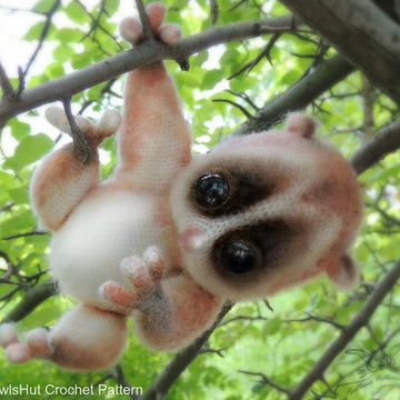 109 Slow Loris animal