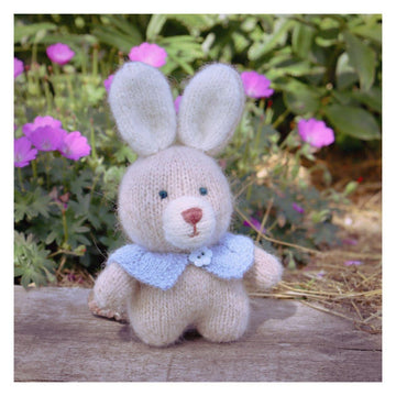 Sunny the Bunny