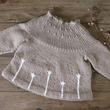 Dandy Field Jumper in Debbie Bliss Baby Cashmerino BJ12