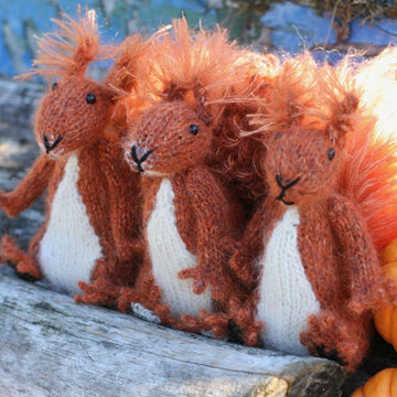 Red Squirrel Sisters