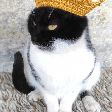 Crochet Crown