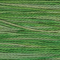 Cactus (2181)