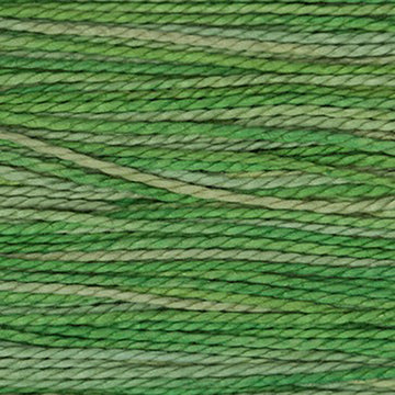 Cactus (2181)