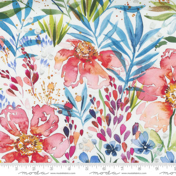 Moda Fabrics Fresh as a Daisy  - White - 8492-11